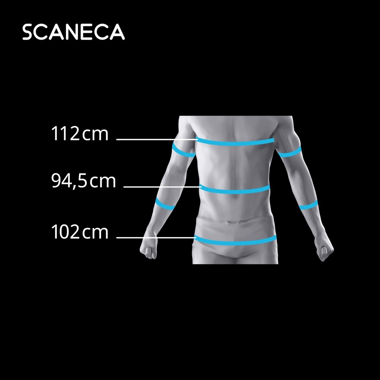 Circumferințe măsurate automat de SCANECA, în centimetri