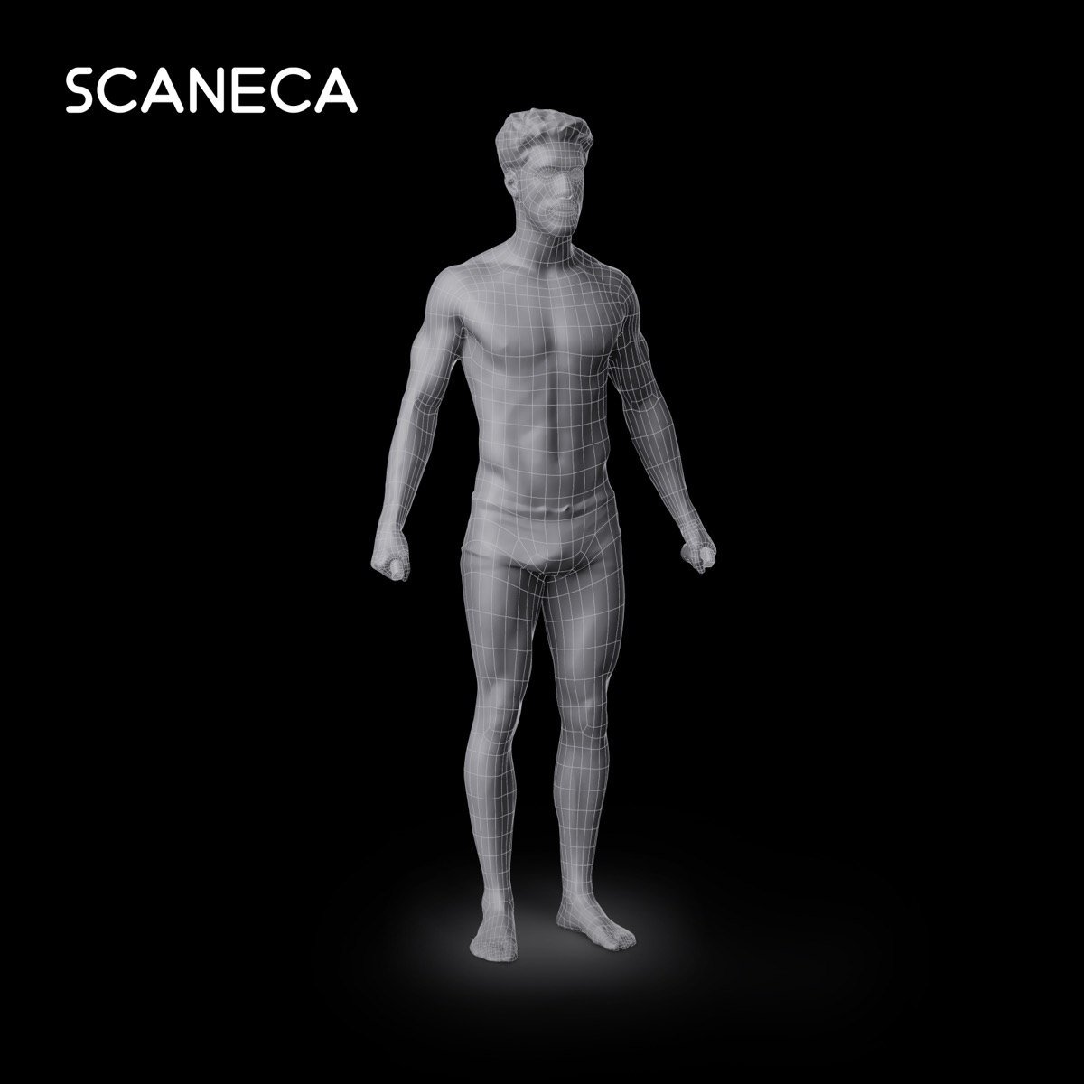 Modelul 3D al corpului, în rețea de puncte, generat de SCANECA